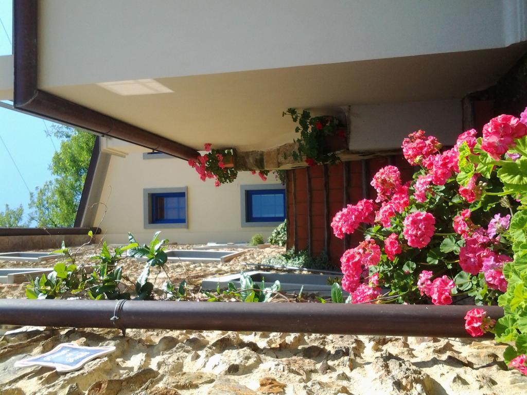 מאסה Casa Vacanze Al Settimo Cielo מראה חיצוני תמונה